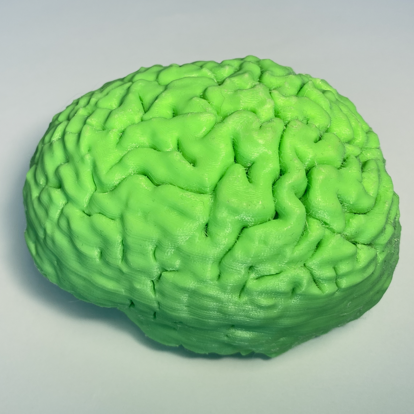 brain_printed